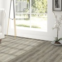 Coastal Glistening Sand SPC Waterproof Vinyl Plank GEM974RC5G