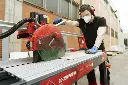 DC-250-850 PYTHON (1.5hp) 38" - 10" blade incl