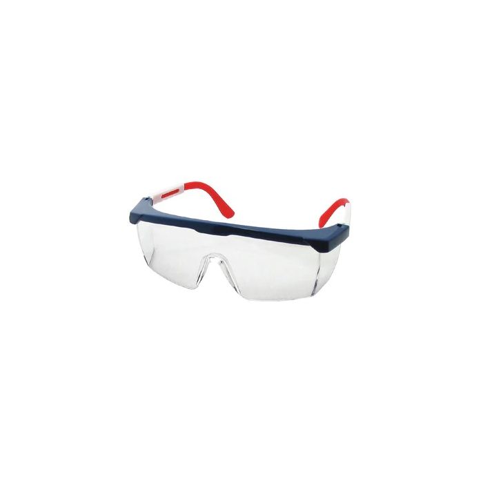 Safety Glasses with Ear Plugs