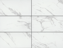 CS81 TIMELESS MARBLE 