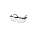 Safety Glasses with Ear Plugs