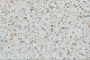 Quarry Tile - TERRAZZO LVP