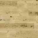 Coastal Sand Dollar SPC Waterproof Vinyl Plank GEM51901SRC5G