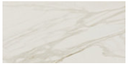 Perpetuo Brilliant White, Rectangle, 12X24, 